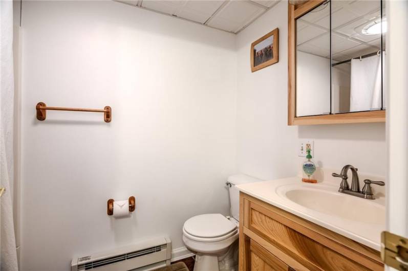 Lower level - full bathroom