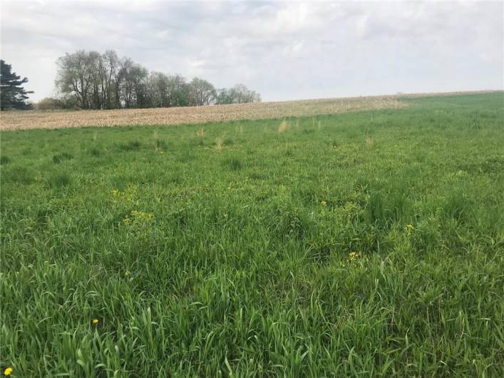 266 Rebecca St, Saxonburg, PA 16056, ,Farm-acreage-lot,For Sale,Rebecca St,1666731