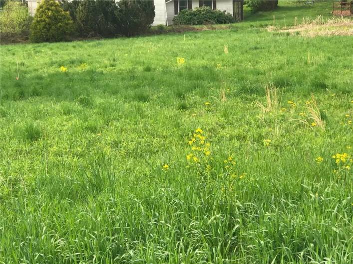 266 Rebecca St, Saxonburg, PA 16056, ,Farm-acreage-lot,For Sale,Rebecca St,1666731
