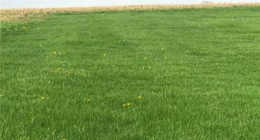 268 Rebecca St, Saxonburg, PA 16056, ,Farm-acreage-lot,For Sale,Rebecca St,1666732