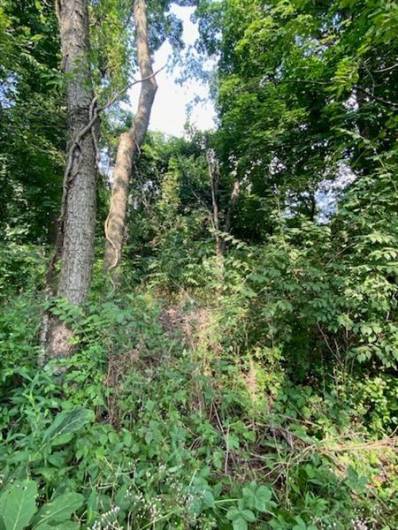 0 Bakerstown Rd, 15084, PA 15084, ,Farm-acreage-lot,For Sale,Bakerstown Rd,1667010