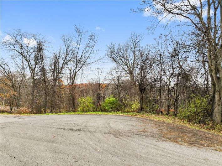 Buss Road has a wide range of homes...
