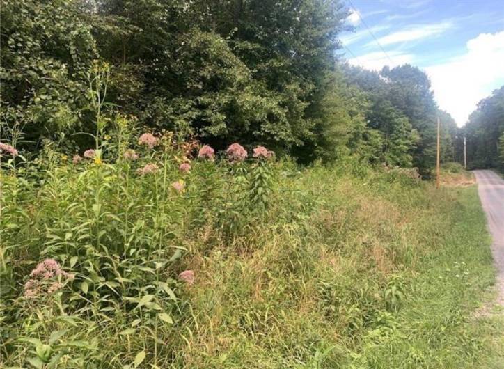 Lot 2b & 4 Vickerman Rd, Mercer, PA 16137, ,Farm-acreage-lot,For Sale,Vickerman Rd,1667270
