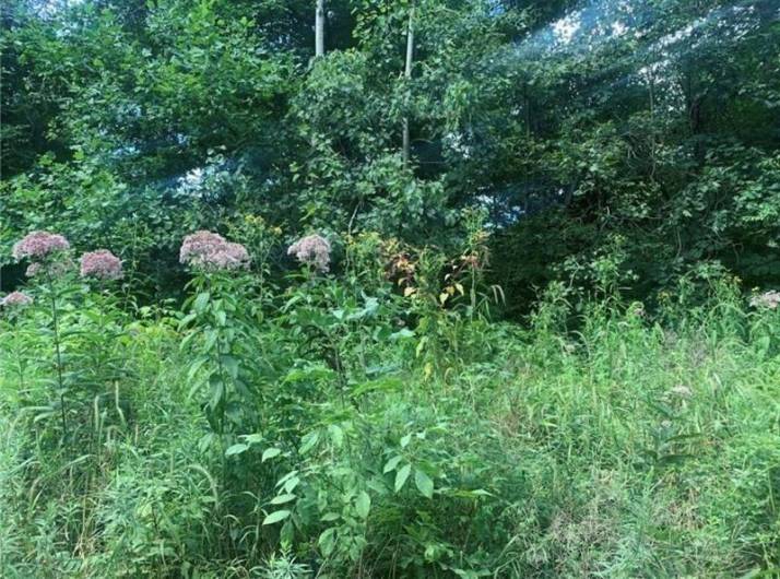 Lot 2b & 4 Vickerman Rd, Mercer, PA 16137, ,Farm-acreage-lot,For Sale,Vickerman Rd,1667270