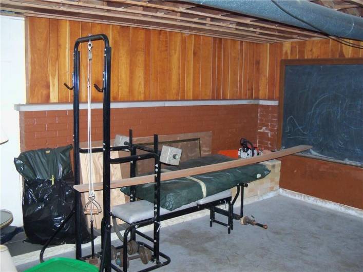 Lower Level with additional Fire Place