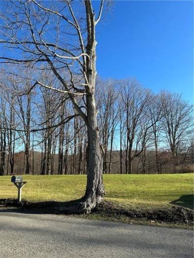 1155 Pa-381, Stahlstown, PA 15687, 2 Bedrooms Bedrooms, ,Residential,For Sale,Pa-381,1668001