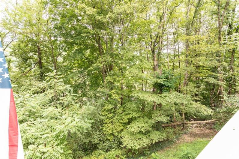 390 Tub Run Rd, Confluence, PA 15424, 2 Bedrooms Bedrooms, ,1 BathroomBathrooms,Residential,For Sale,Tub Run Rd,1668109