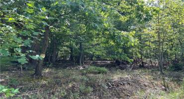 0 6th St, Connellsville, PA 15425, ,Farm-acreage-lot,For Sale,6th St,1668489