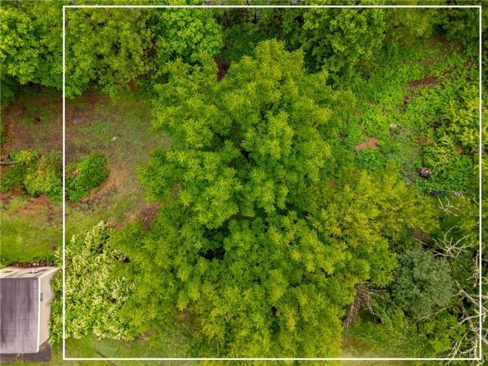 000 Front St, Robinson, PA 15949, ,Farm-acreage-lot,For Sale,Front St,1668888