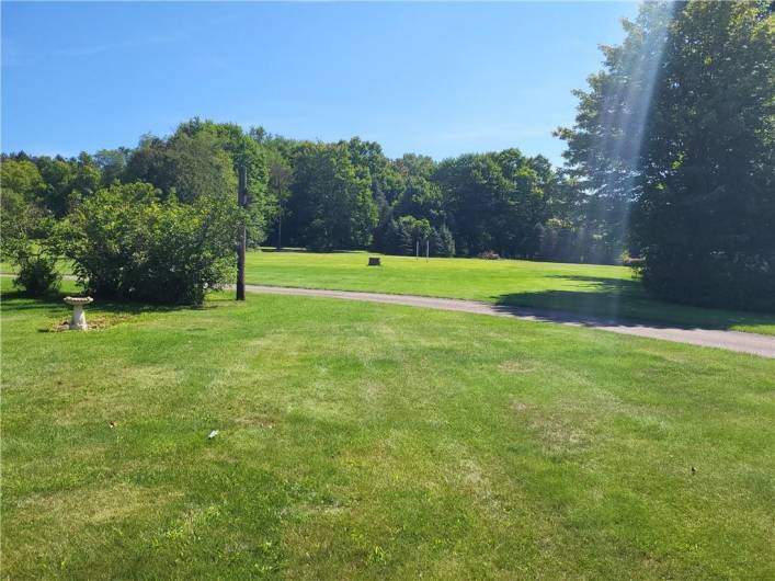 5.2 Acres Of COMMERCIAL Property (Back of property)