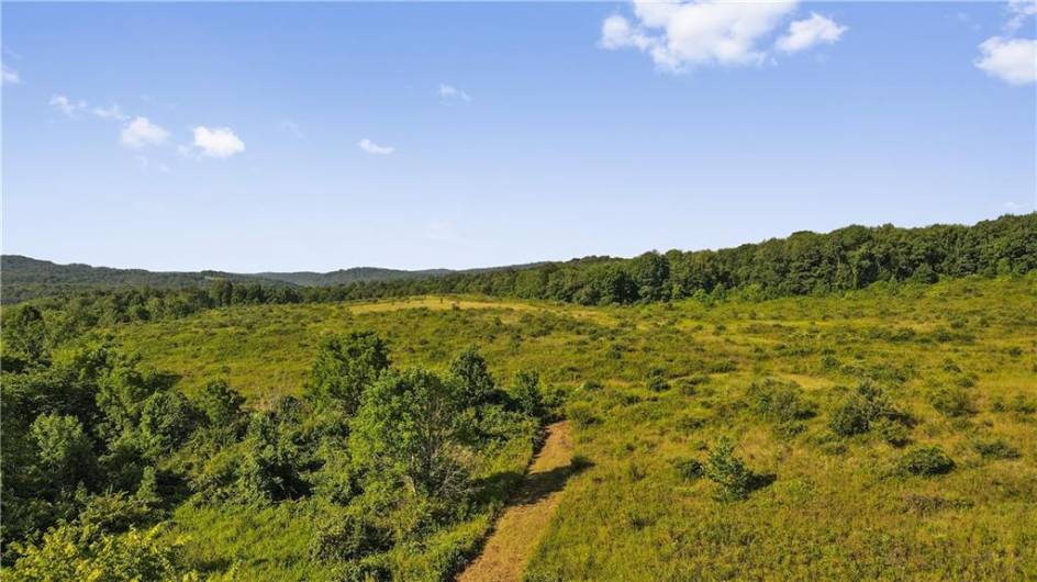 0 Matson Rd, Ligonier, PA 15658, 0 , ,0,Farm-acreage-lot,For Sale,Matson Rd,0,1668793