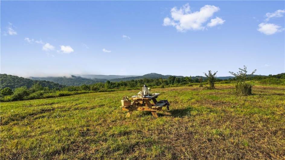 0 Matson Rd, Ligonier, PA 15658, 0 , ,0,Farm-acreage-lot,For Sale,Matson Rd,0,1668793