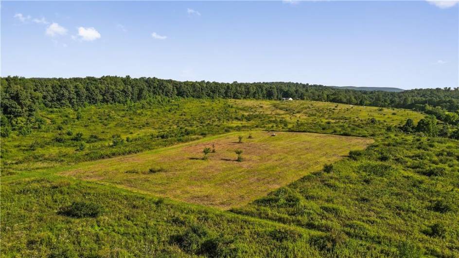0 Matson Rd, Ligonier, PA 15658, 0 , ,0,Farm-acreage-lot,For Sale,Matson Rd,0,1668793