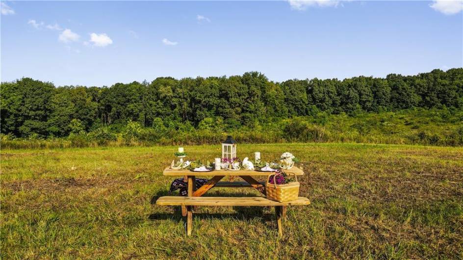 0 Matson Rd, Ligonier, PA 15658, 0 , ,0,Farm-acreage-lot,For Sale,Matson Rd,0,1668793