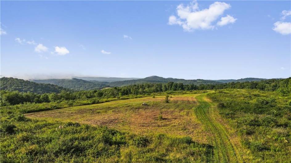 0 Matson Rd, Ligonier, PA 15658, 0 , ,0,Farm-acreage-lot,For Sale,Matson Rd,0,1668793