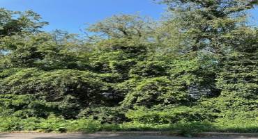 Lots 48 & 49 Roosevelt Street, Conway, PA 15027, ,Farm-acreage-lot,For Sale,Roosevelt Street,1668956