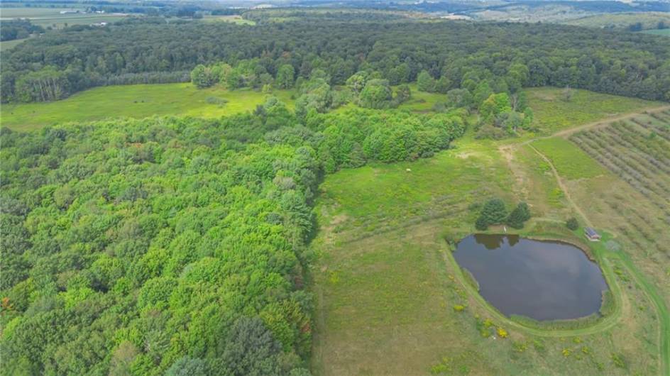 44868 Warner Rd, Titusville, PA 16354, 4 Bedrooms Bedrooms, 11 Rooms Rooms,2 BathroomsBathrooms,Residential,For Sale,Warner Rd,1670008