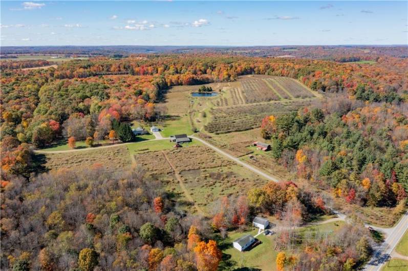 44868 Warner Rd, Titusville, PA 16354, 4 Bedrooms Bedrooms, 11 Rooms Rooms,2 BathroomsBathrooms,Residential,For Sale,Warner Rd,1670008