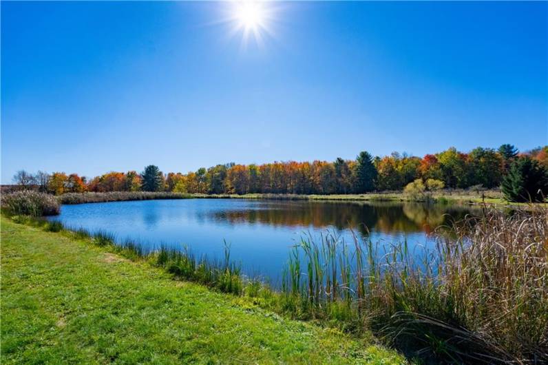 44868 Warner Rd, Titusville, PA 16354, 4 Bedrooms Bedrooms, 11 Rooms Rooms,2 BathroomsBathrooms,Residential,For Sale,Warner Rd,1670008
