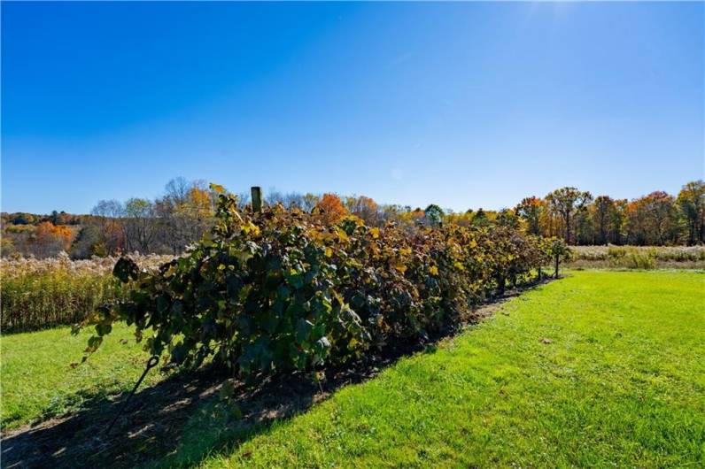 44868 Warner Rd, Titusville, PA 16354, 4 Bedrooms Bedrooms, 11 Rooms Rooms,2 BathroomsBathrooms,Residential,For Sale,Warner Rd,1670008