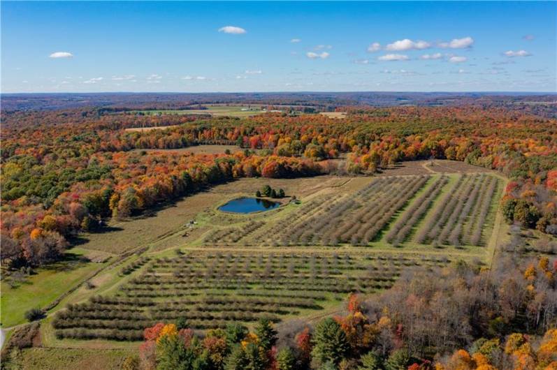 44868 Warner Rd, Titusville, PA 16354, 4 Bedrooms Bedrooms, 11 Rooms Rooms,2 BathroomsBathrooms,Residential,For Sale,Warner Rd,1670008