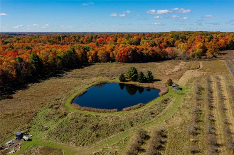 44868 Warner Rd, Titusville, PA 16354, 4 Bedrooms Bedrooms, 11 Rooms Rooms,2 BathroomsBathrooms,Residential,For Sale,Warner Rd,1670008