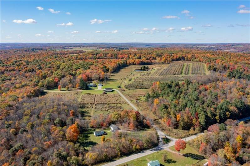 44868 Warner Rd, Titusville, PA 16354, 4 Bedrooms Bedrooms, 11 Rooms Rooms,2 BathroomsBathrooms,Residential,For Sale,Warner Rd,1670008