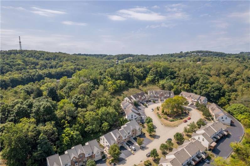 Aerial view of Berrington Woods.