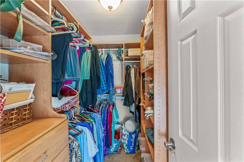 Walk in closet with built ins