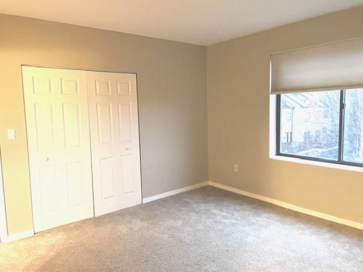 Showing one of two closets in master BR