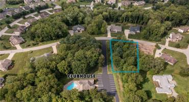 Lot 66