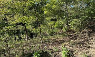 1804 Forbes Rd, Monroeville, PA 15146, ,Farm-acreage-lot,For Sale,Forbes Rd,1671537