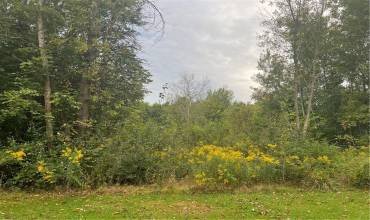 3042 New Castle-Harlansburg Rd, New Castle, PA 16101, ,Farm-acreage-lot,For Sale,New Castle-Harlansburg Rd,1672252