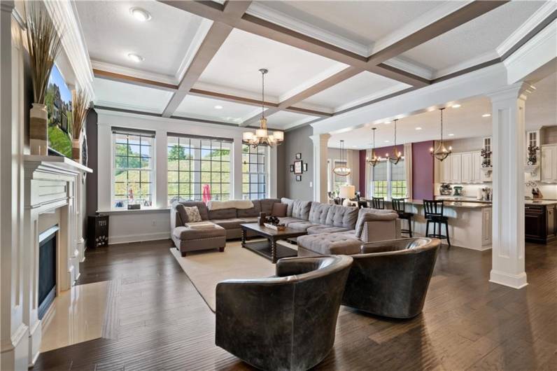 10' ceiling on the main floor give way for this amazing coffered ceiling