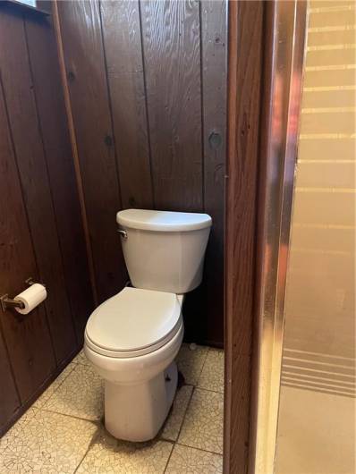 Lower level bathroom