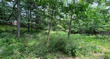 285 Hilltop Drive, Cheswick, PA 15024, ,Farm-acreage-lot,For Sale,Hilltop Drive,1665462