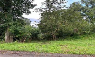 113 Nicola Lane, Indiana, PA 15701, ,Farm-acreage-lot,For Sale,Nicola Lane,1670068