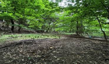 9 Quarry Rd, Sewickley, PA 15143, ,Farm-acreage-lot,For Sale,Quarry Rd,1672561