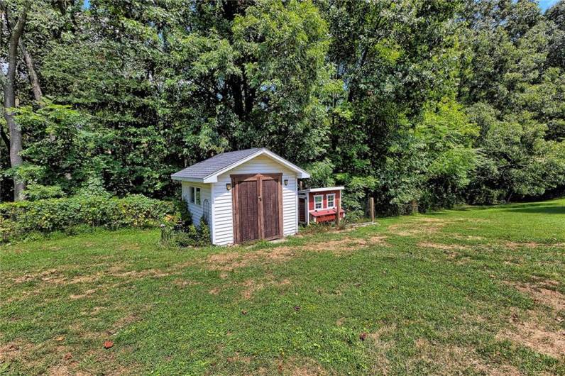 Shed and Chicken Coop