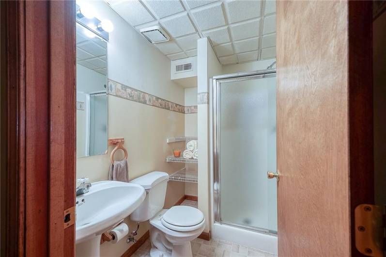 Full bathroom off the family room in lower level