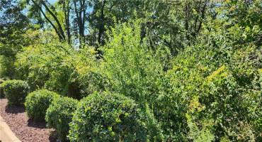 341 Mansfield Ave, Pittsburgh, PA 15220, ,Farm-acreage-lot,For Sale,Mansfield Ave,1672421