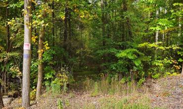 0 Cramer Pike, Homer City, PA 15748, ,Farm-acreage-lot,For Sale,Cramer Pike,1672764