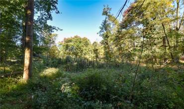 Lot Neupert Rd., Cabot, PA 16023, ,Farm-acreage-lot,For Sale,Neupert Rd.,1672816