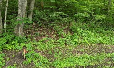 000 Fanker Road, Harmony, PA 16037, ,Farm-acreage-lot,For Sale,Fanker Road,1672894