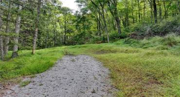 2127 Mallard Ln, Export, PA 15632, ,Farm-acreage-lot,For Sale,Mallard Ln,1672973