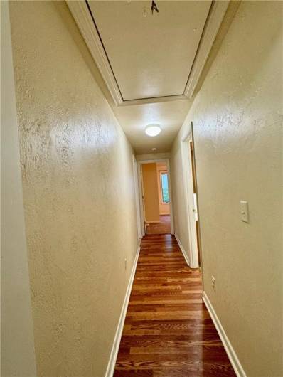 Hallway back to addition has pulled down steps for extra storage