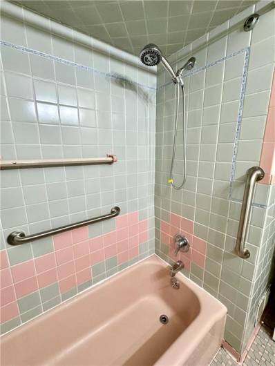 Bathroom, equipped with shower and grab bars