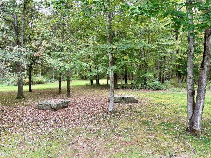 wooded rear yard