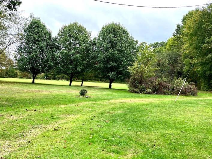 view to front yard from house