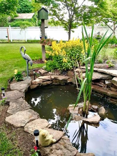 Living Pond Water Feature